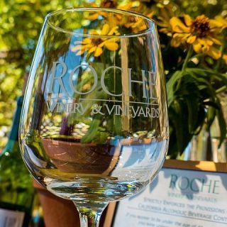 Half-Day Wine Tour Plus Hop-On Hop-Off Bus Pass