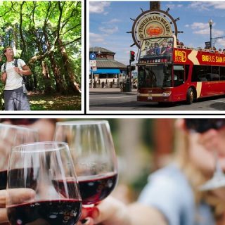 SF Bundle: Wine Tour, Redwoods Preserve, and Hop-on Hop-off Tour