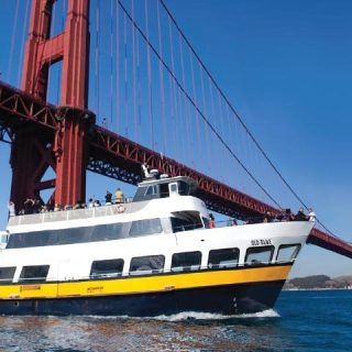 Bus & Boat Adventure
